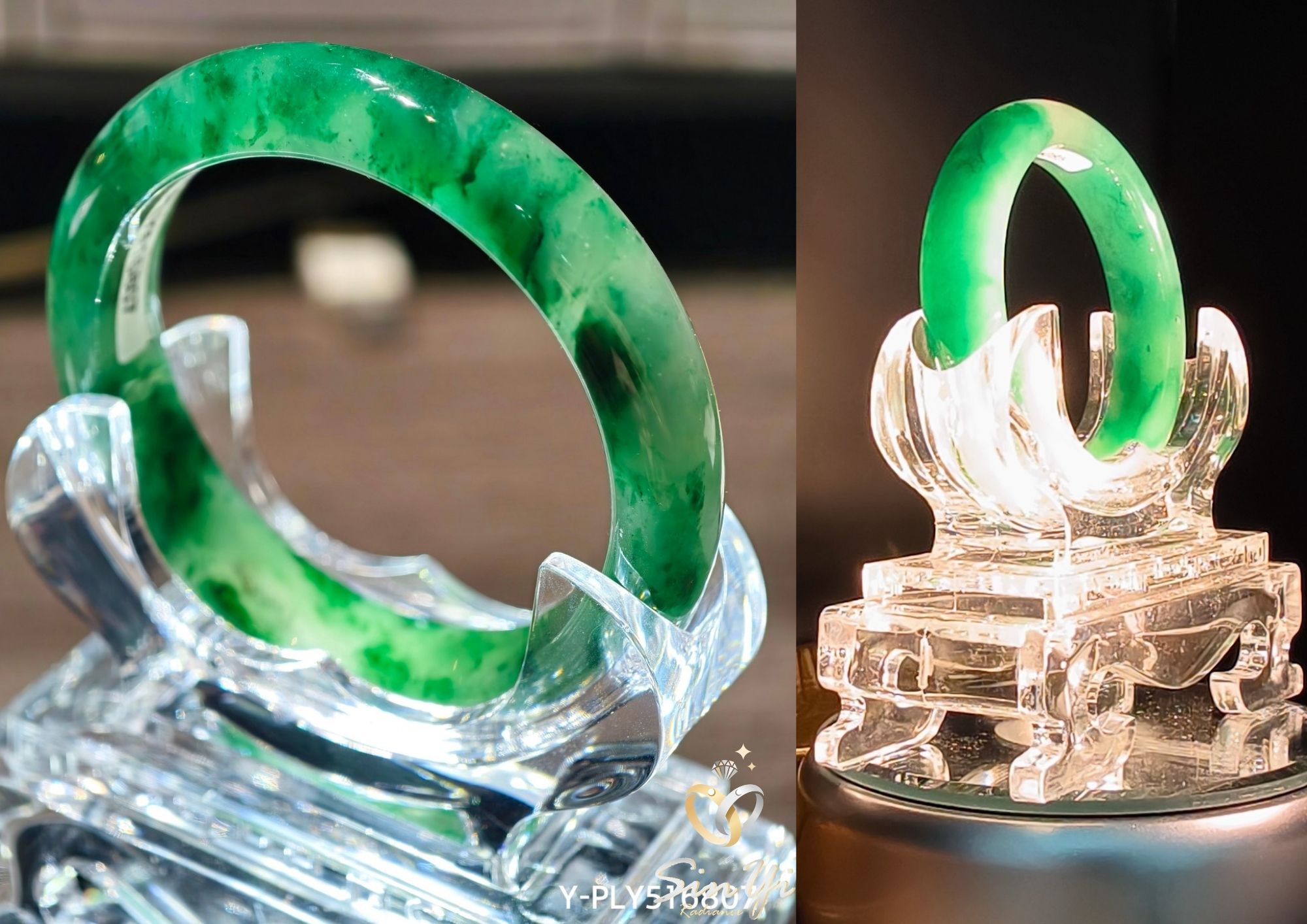 明日之星☆非洲翠☆